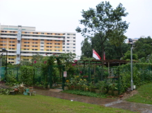 tampines-street-12 photo thumbnail #3